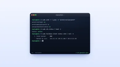 VDS Sunucu Güvenliği İçin İlk 5 Ayar Yeni kiralanan VDS sunucu için güvenlik ayarları